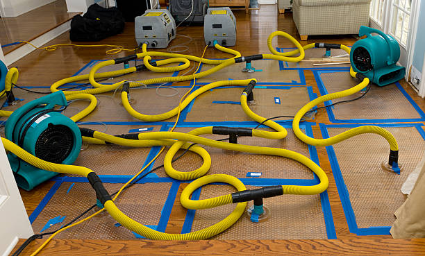 Professional Sewage Cleanup technician working in Wylie, TX